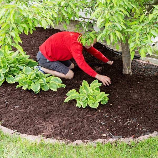 mulch installation can improve soil health, prevent erosion, and enhance the visual appeal of your yard